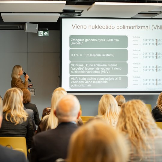 Iliustracija