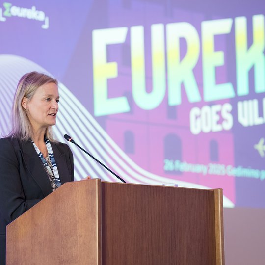 Iliustracija